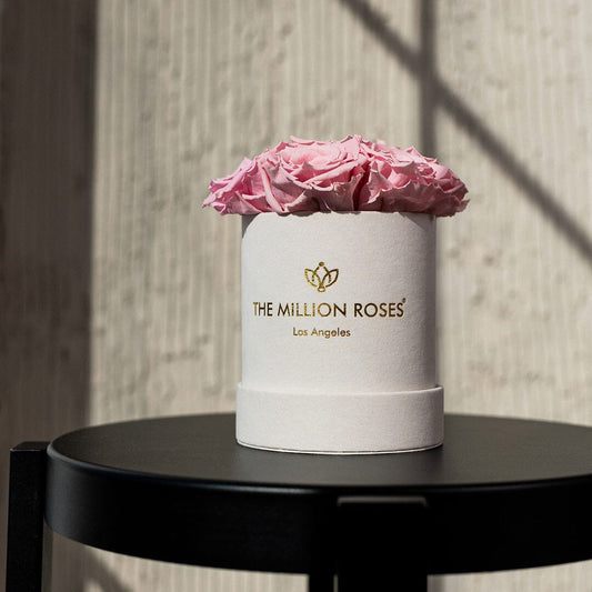 Basic Béžový Suede Box | Světle růžové růže