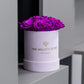 Boîte Basic Daim Rose Pâle | Roses Violet Vif 