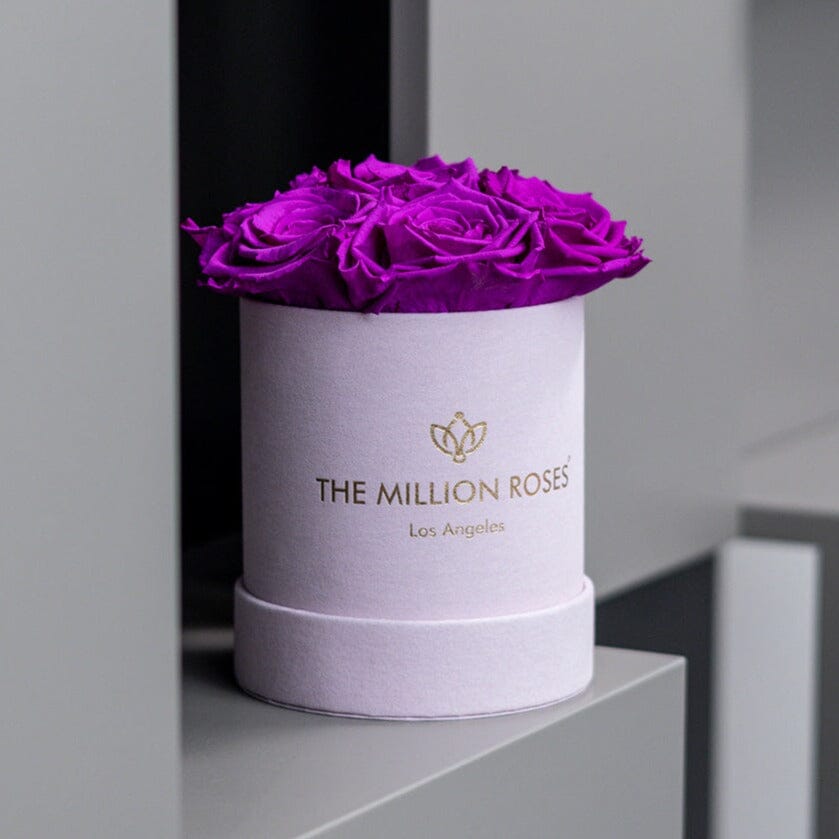 Basic Light Pink Suede Box | Bright Purple Roses - The Million Roses