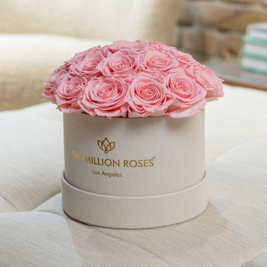 Classic Béžový Suede Dome Box | Světle růžové růže