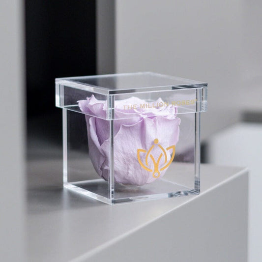 Acrylic Single Box | Levandulová růže