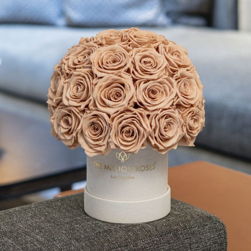 Sandy Beige Roses Beige Suede Roses - Preserved Roses Box | The Million Roses®