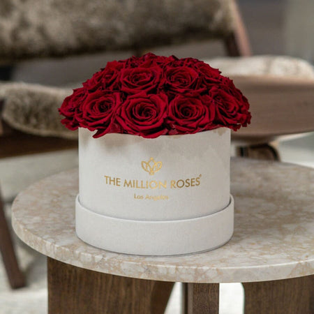Classic Beige Suede Dome Box | Red Roses