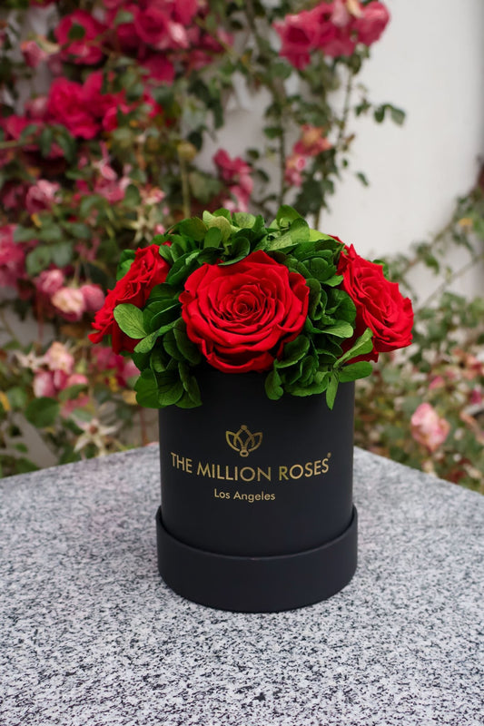 Basic Black Garden Box | Red Roses