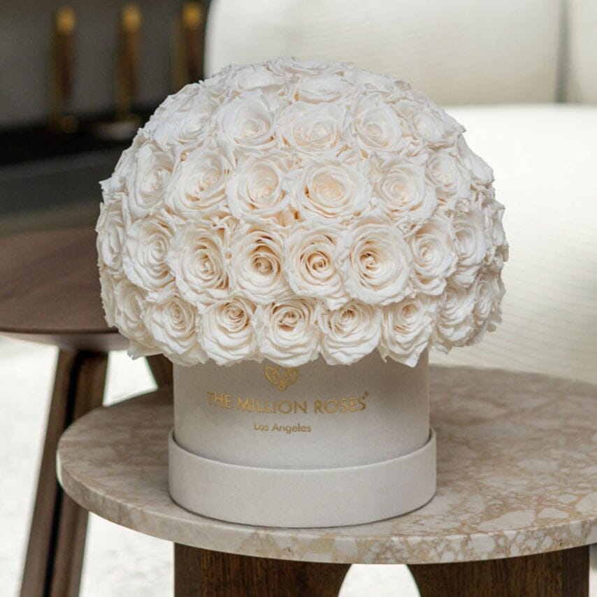 Classic Beige Suede Superdome Box | White Roses