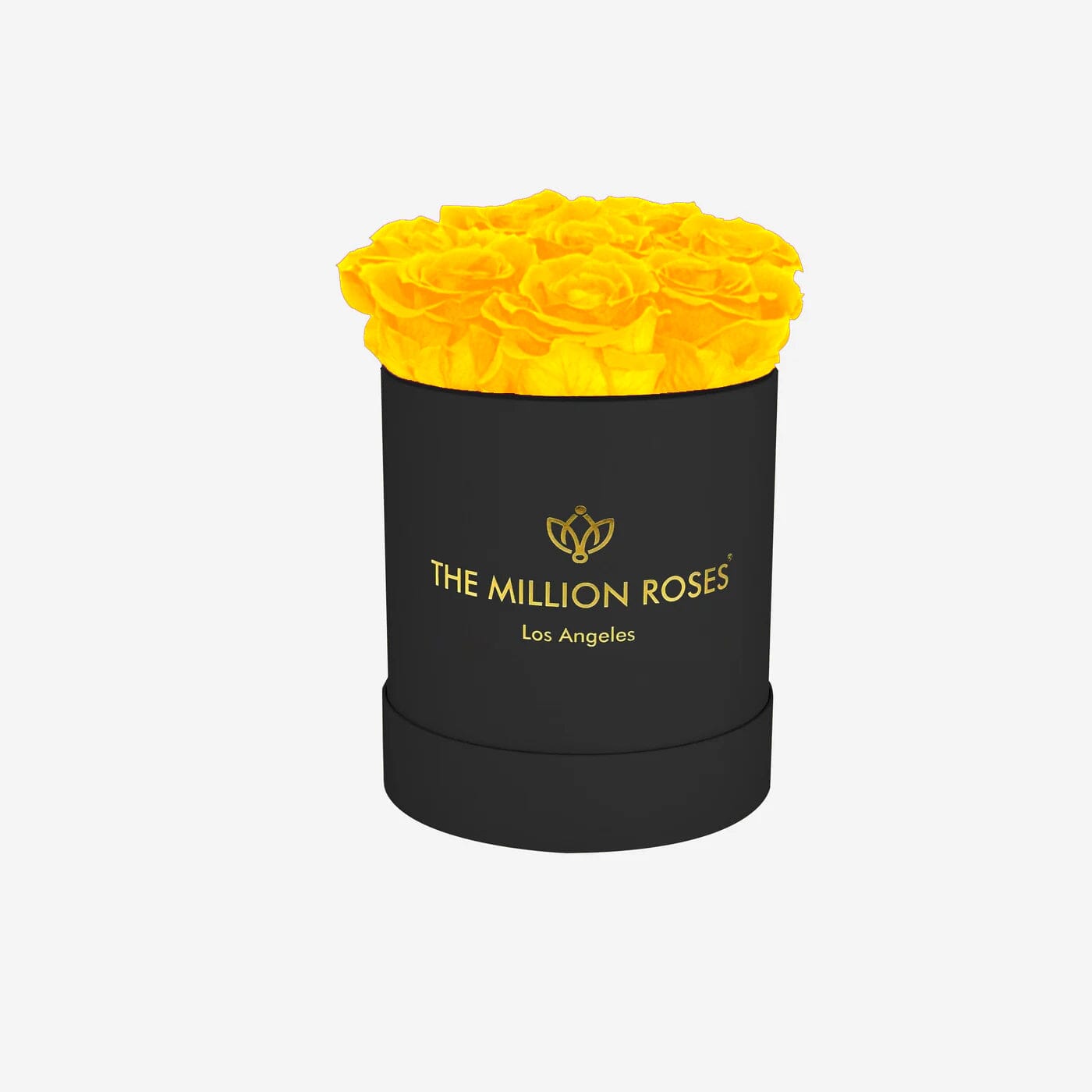 Basic Black Box | Yellow Roses