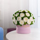 Classic Light Pink Suede Box | White Persian Buttercups & Green Hydrangeas