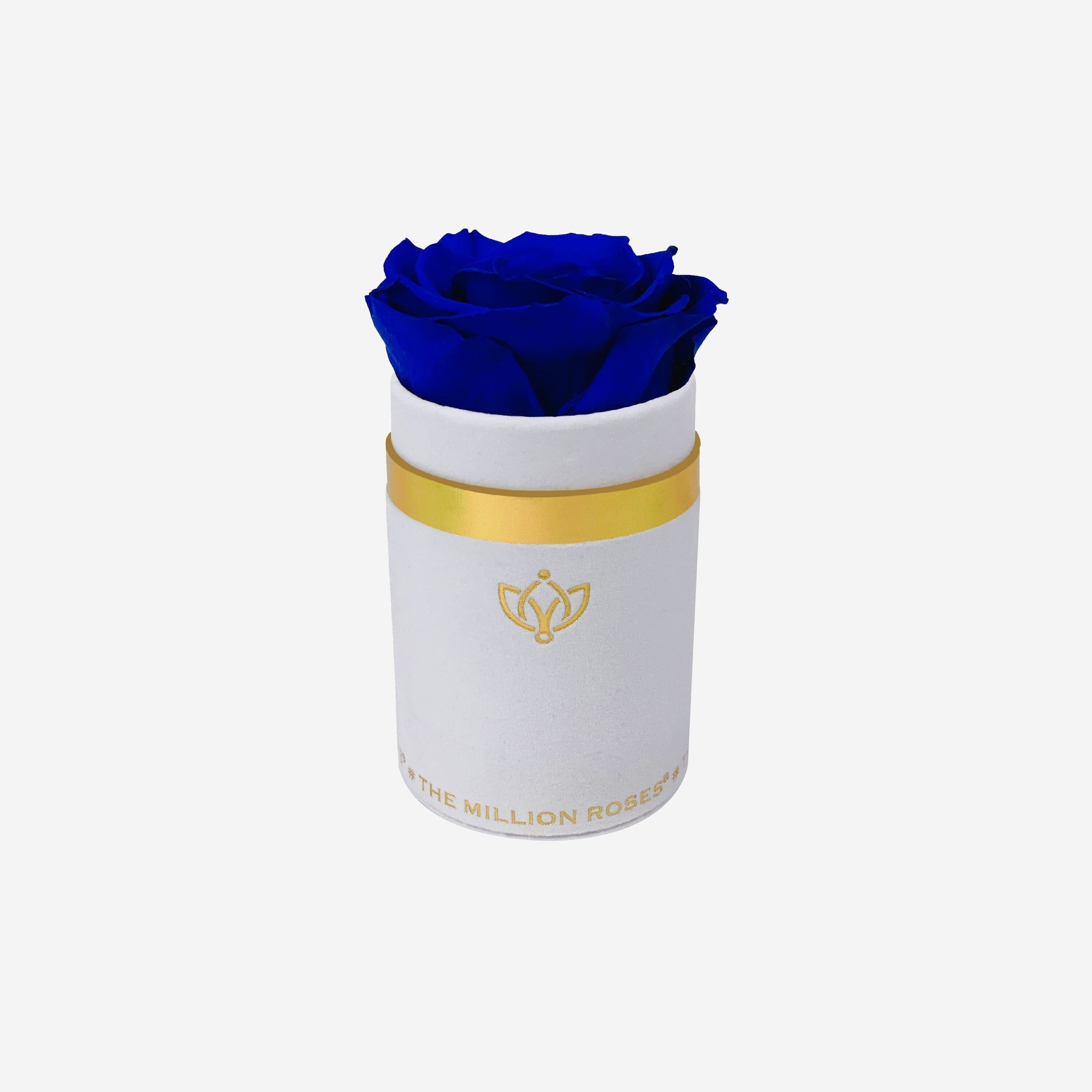 ‍Single White Suede Box | Royal Blue Rose (100% off)