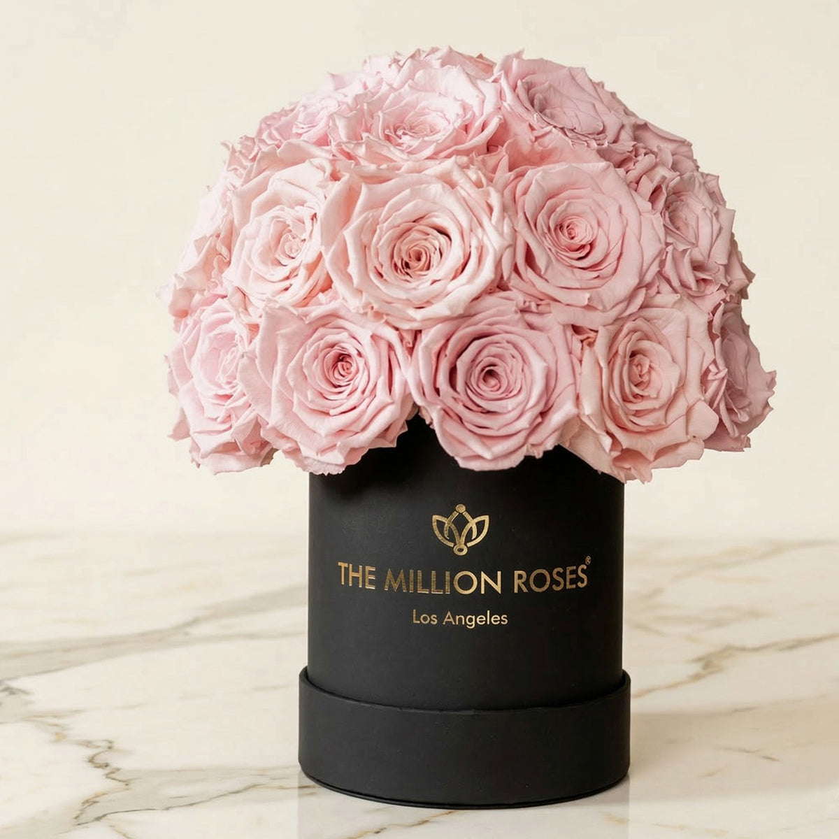 Pink Roses Box Essence Black Superdome Box | Light Pink Roses