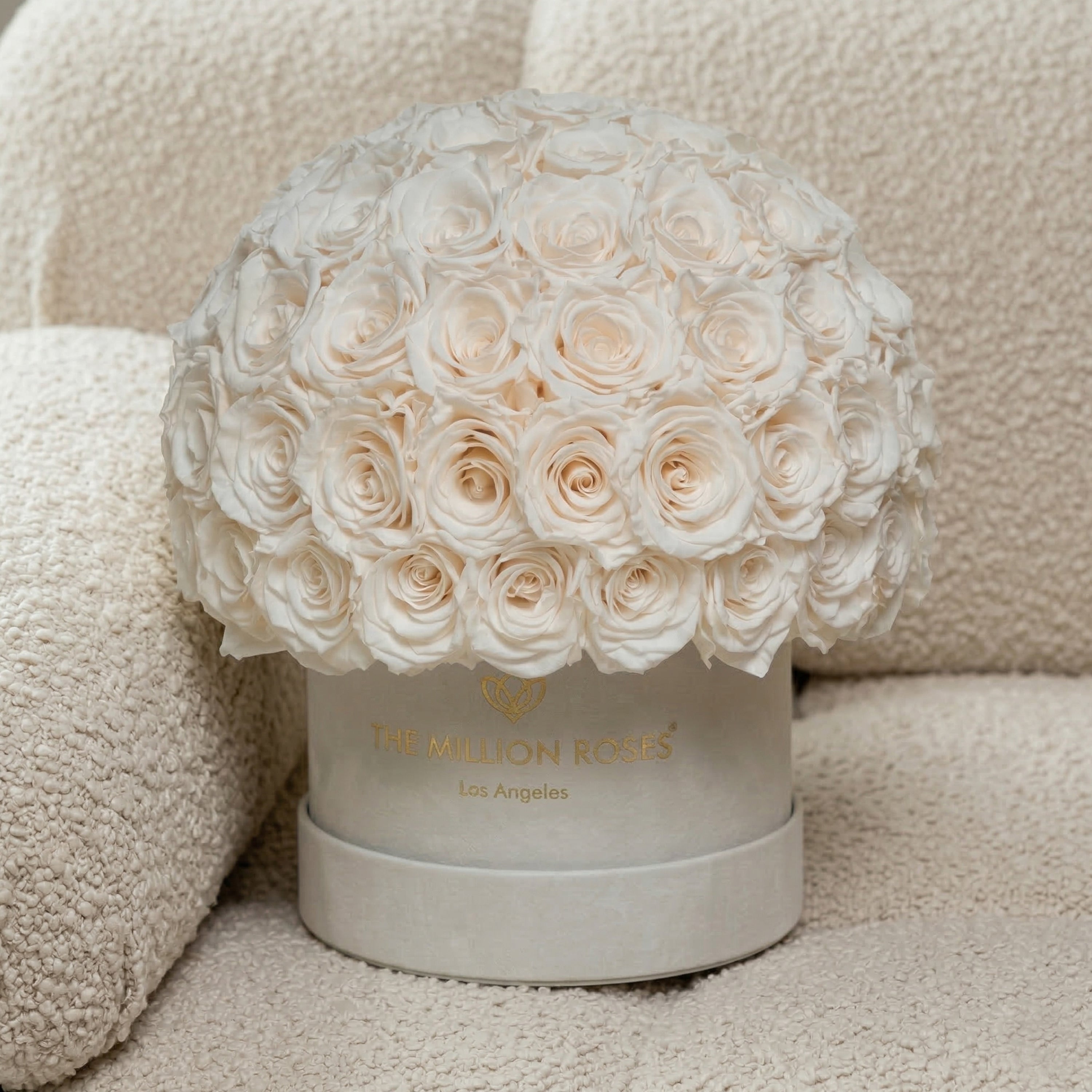 Classic Beige Suede Superdome Box | White Roses