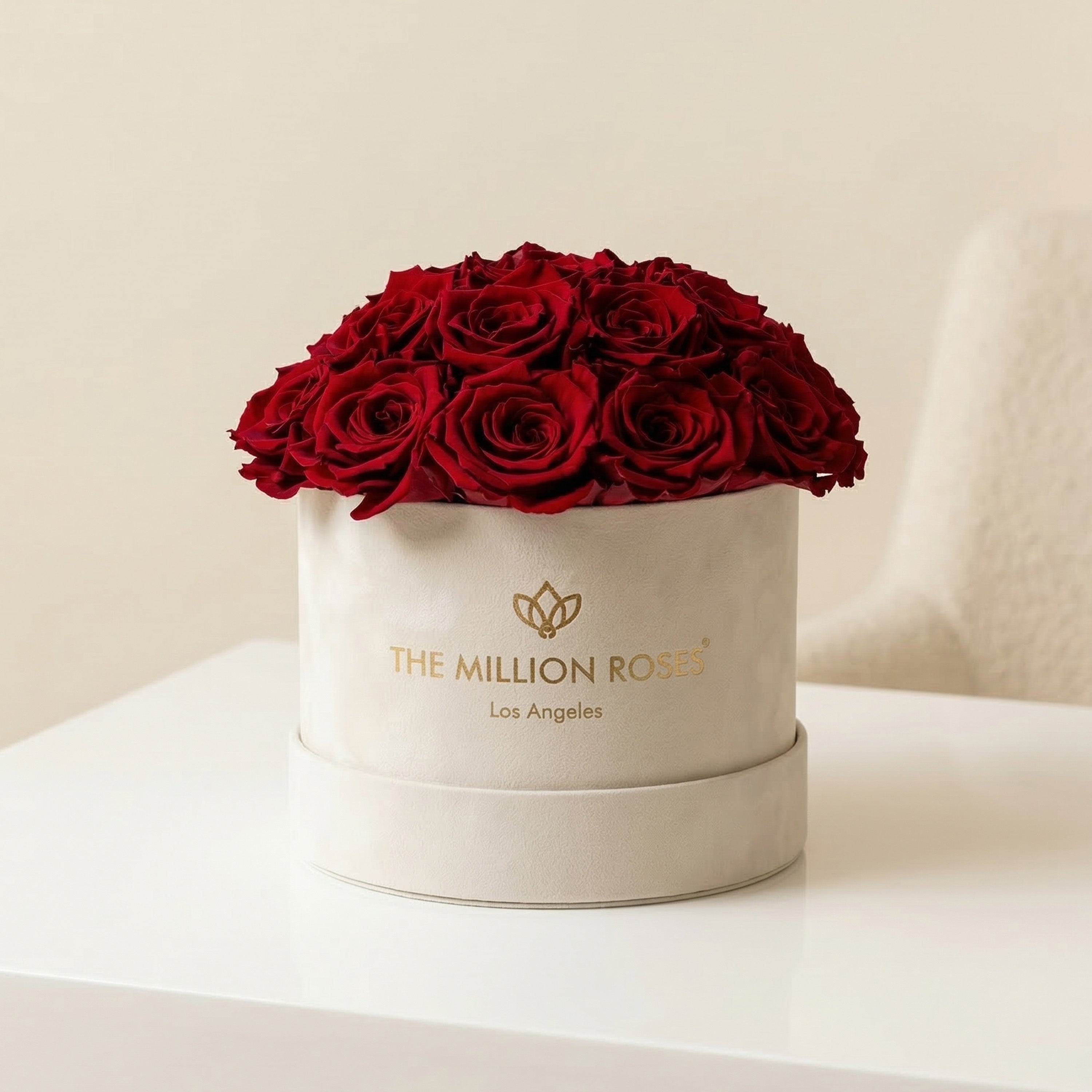 Classic Beige Suede Dome Box | Red Roses