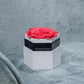 One in a Million™ Caja Hexagonal Blanca | Rosa Coral
