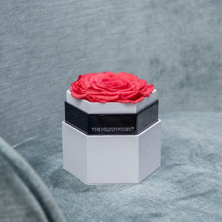 One in a Million™ Box | Weiß | Hexagon | Korallenfarbene Rose
