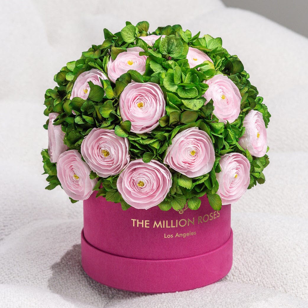 Classic Hot Pink Suede Box | Light Pink Persian Buttercups & Green Hydrangeas - The Million Roses