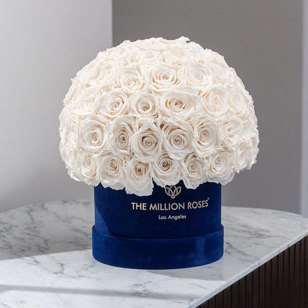 Classic Royal Blue Suede Superdome Box | White Roses