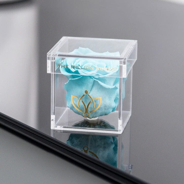 Acrylic Box | Einzeln | Tiffany-blaue Rose