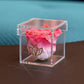 Acrylic Single Box | Coral Rose