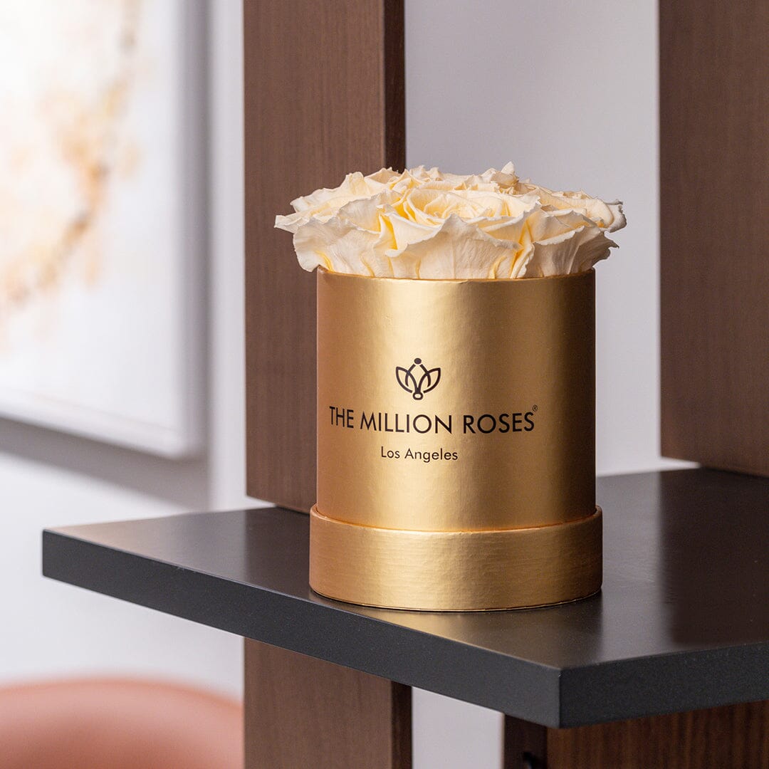 Ivory Roses in Gold Box