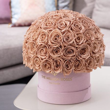 Classic Light Pink Suede Superdome Box | Sand Roses