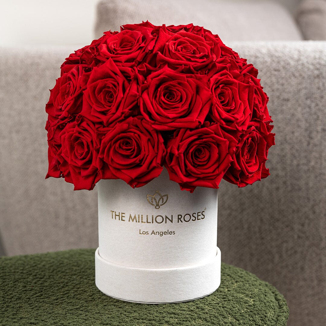 Basic Beige Suede Superdome Box | Red Roses