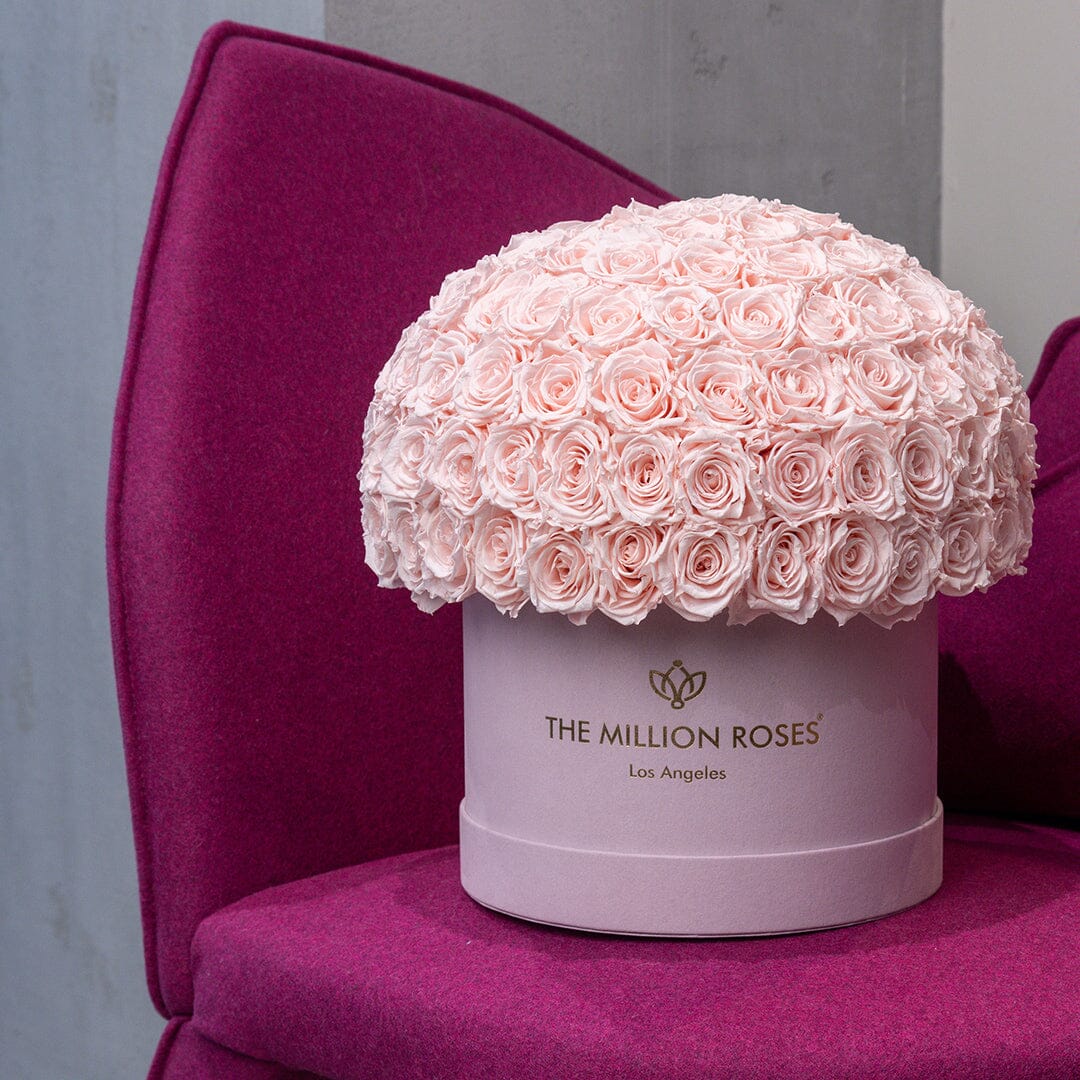 Supreme Light Pink Suede Superdome Box | Light Pink Roses - The Million Roses