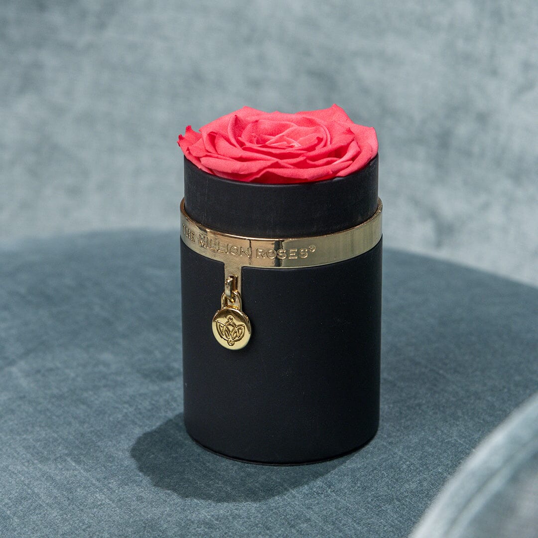 One in a Million™ Round Black Box | Charm Edition | Coral Rose