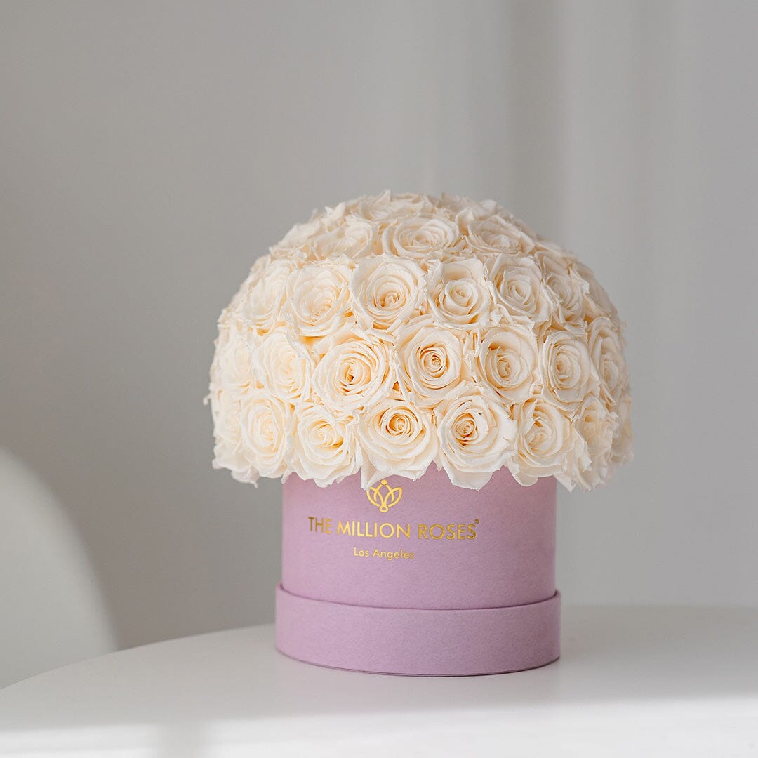 Classic Light Pink Suede Superdome Box | White Roses