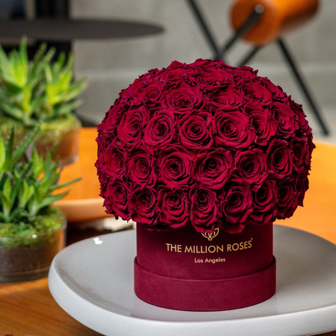 Classic Bordeaux Suede Superdome Box | Burgundy Roses