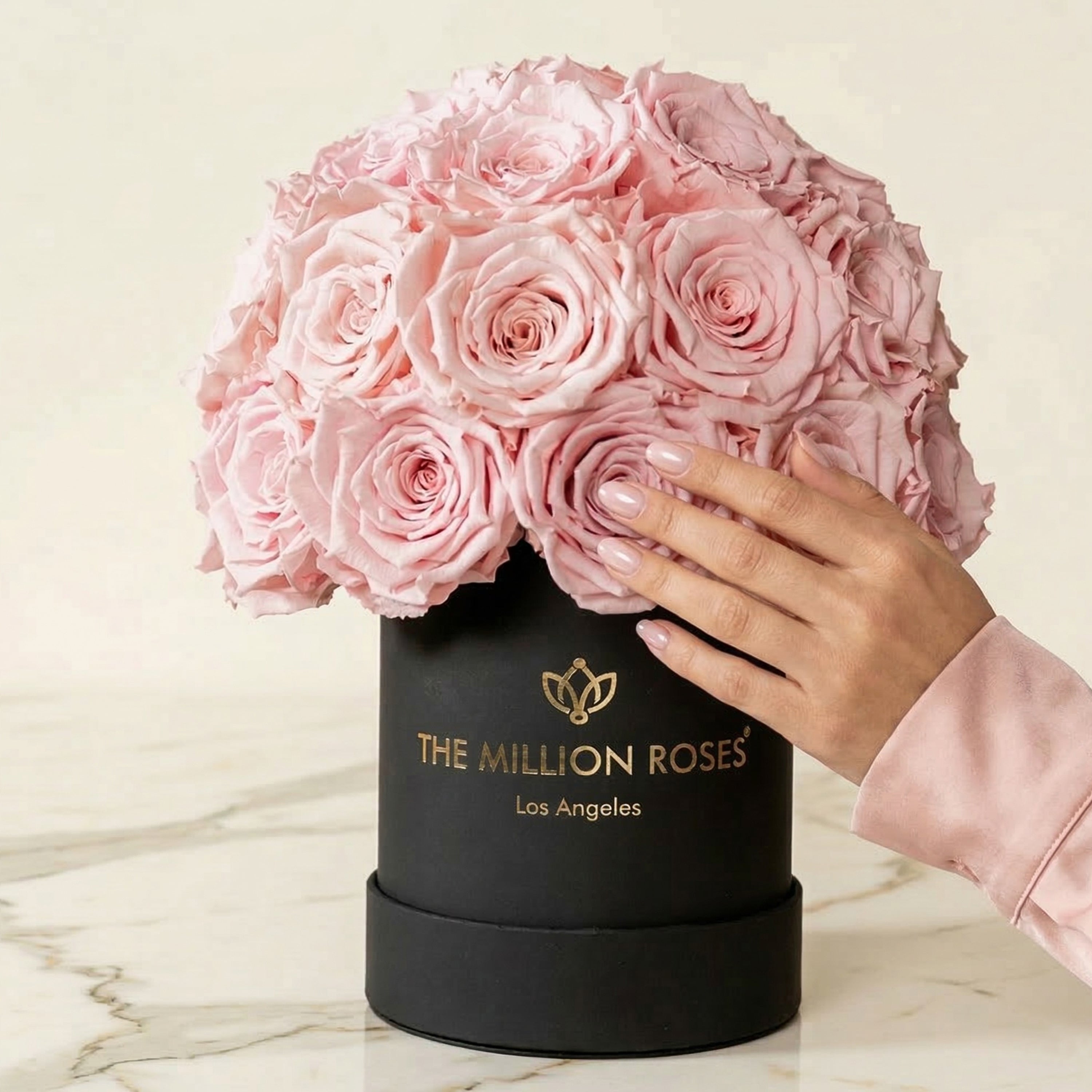 Basic Black Superdome Box | Light Pink Roses