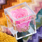 Acrylic Single Box | Cukrové růžová růže