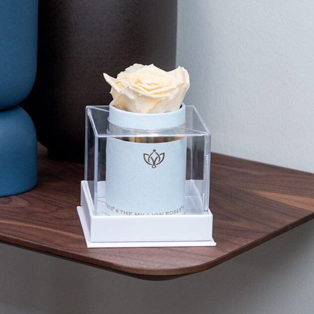 Single Light Blue Suede Box | Ivory Rose