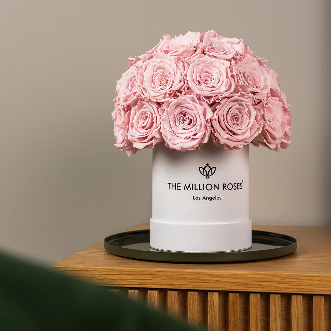 Basic White Superdome Box | Light Pink Roses