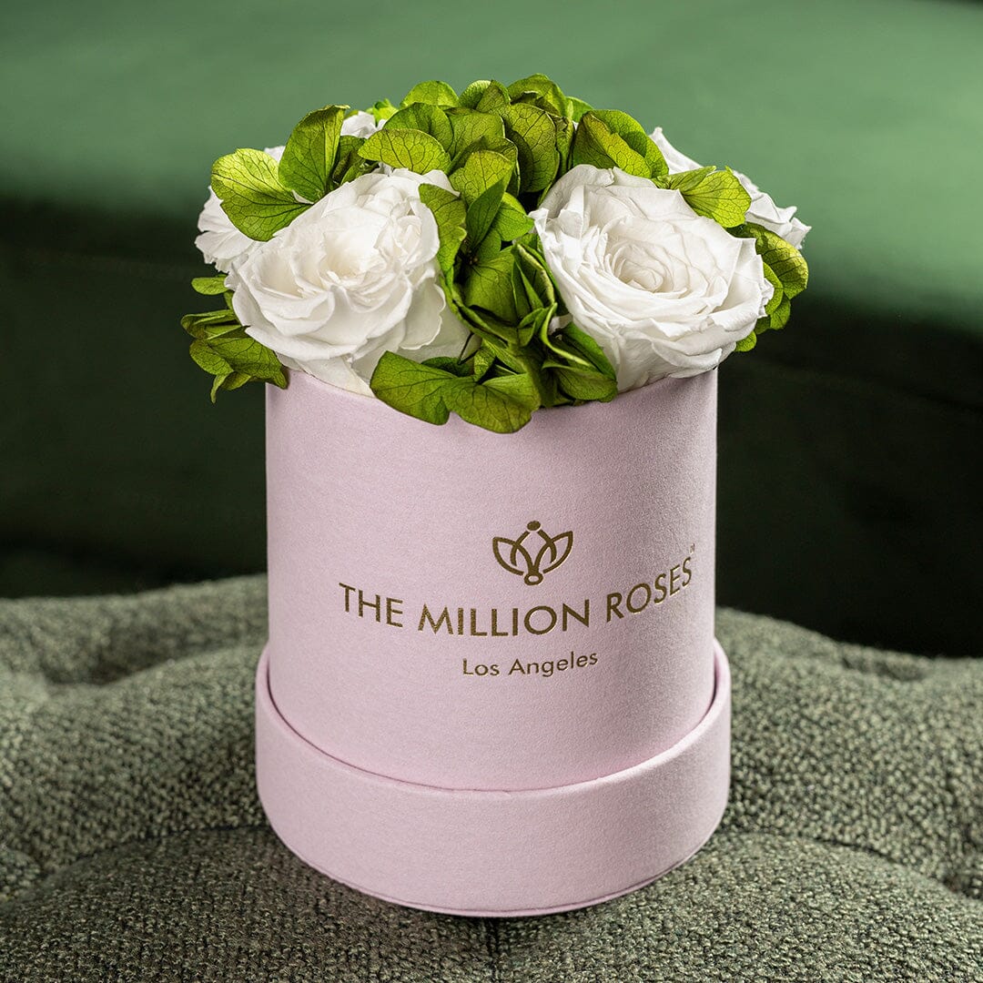 Basic Light Pink Suede Garden Box | White Roses