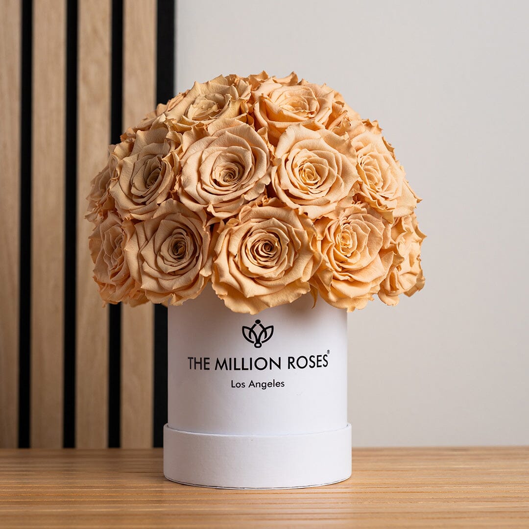 Basic White Superdome Box | Sand Roses