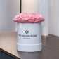 Biely Basic Box | Svetlo rúžové ruže