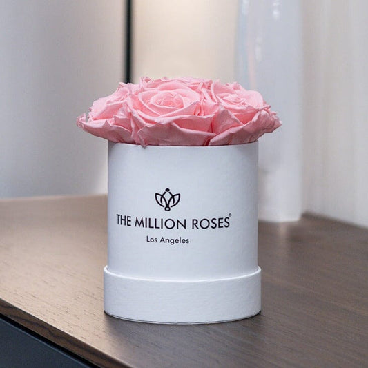 Bílý Basic Box | Světle růžové růže