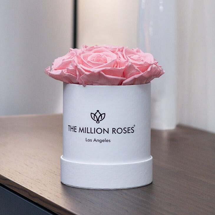 Basic White Box | Light Pink Roses