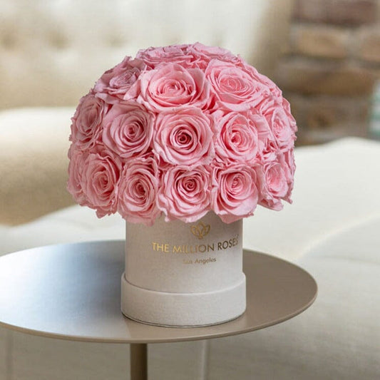 Basic Beige Suede Superdome Box | Light Pink Roses