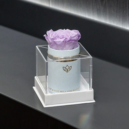 Single Box | Weiß | Suede | Lavendelfarbene Rose