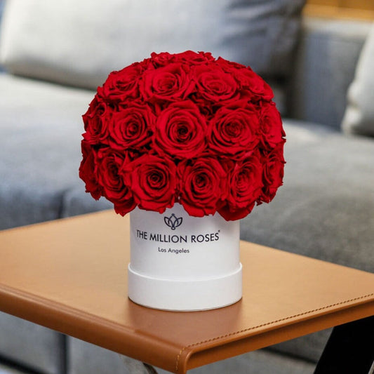 Cutie albă Basic Superdome | Trandafiri roșii