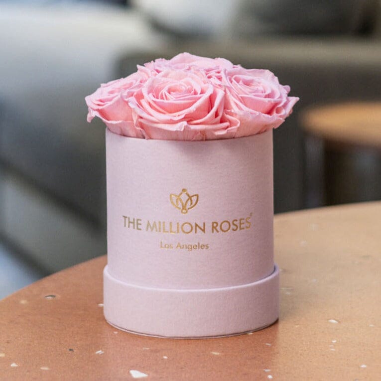 Basic Light Pink Suede Box | Light Pink Roses | The Million Roses