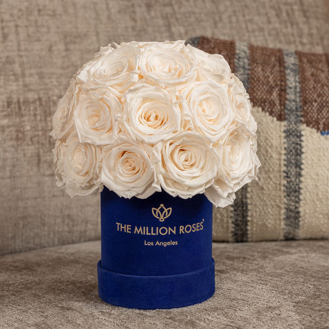 Basic Royal Blue Suede Superdome Box | White Roses