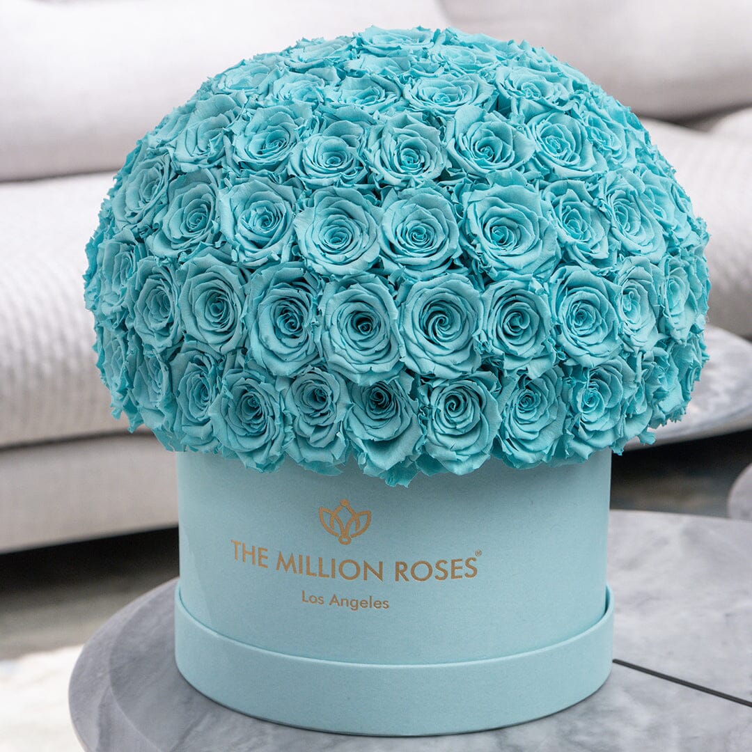 Supreme Mint Green Suede Superdome Box | Turquoise Blue Roses
