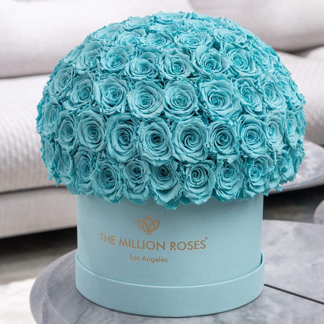 Supreme Mint Green Suede Superdome Box | Turquoise Blue Roses | The ...