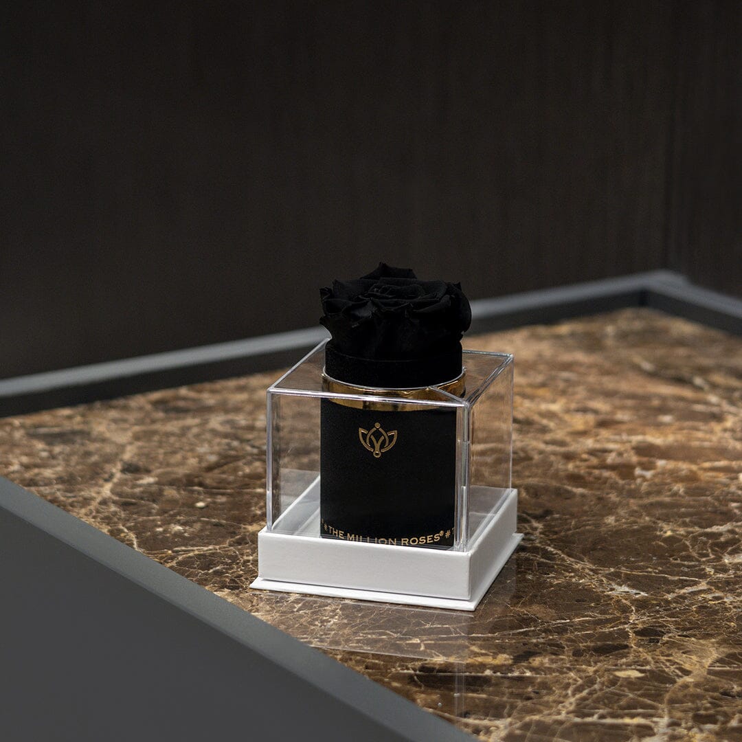 Single Caja de Gamuza Negra | Rosa Negra
