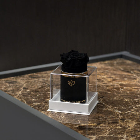 Cutie de piele întoarsă Neagră Single | Trandafir negru