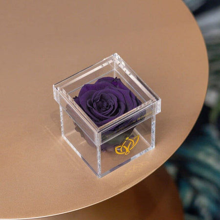 Acrylic Single Box | Tmavo fialová ruža