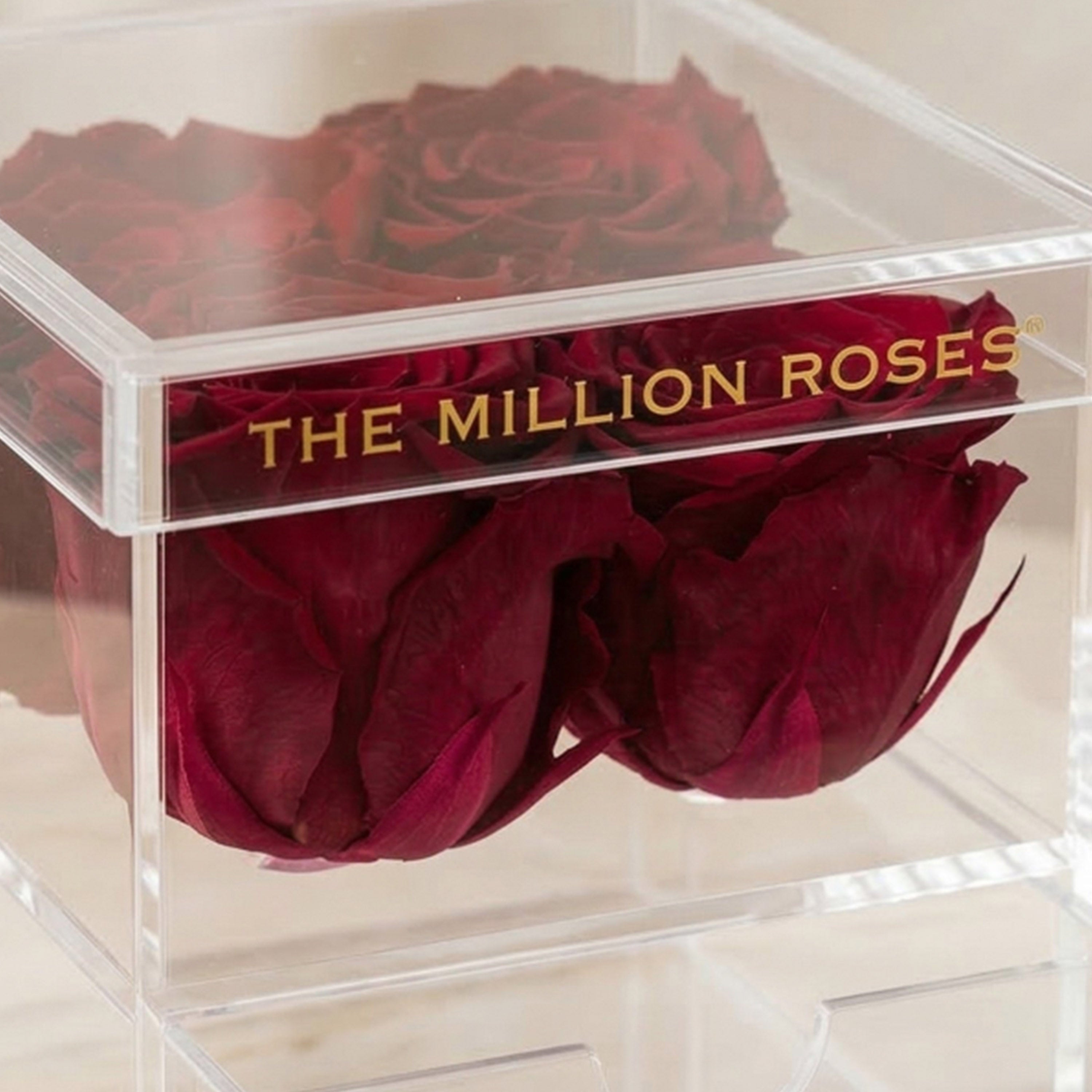 薔薇が綺麗 キャロルウィルソン ペーパーボックス Amazon.co.jp