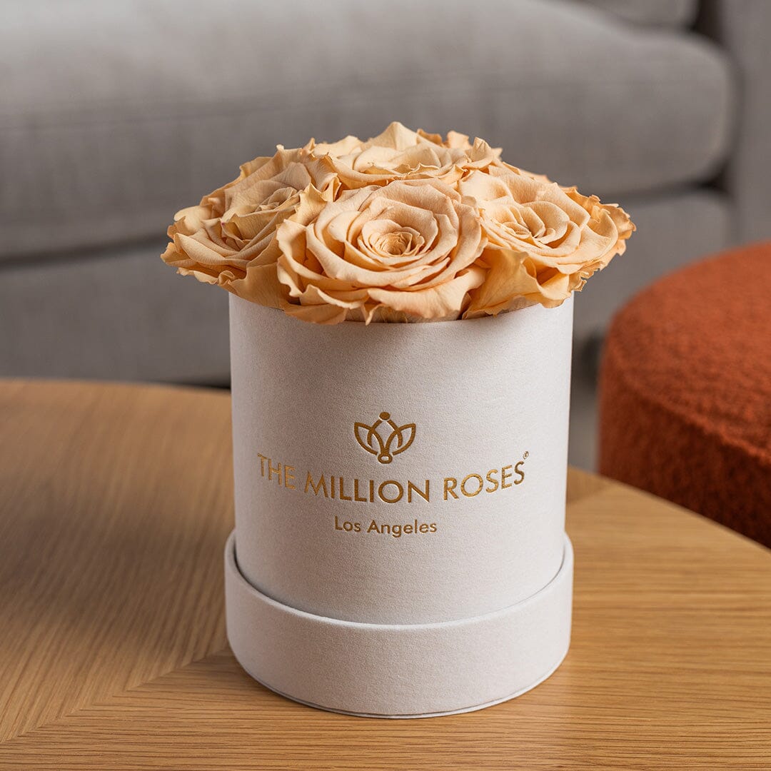 Basic Beige Suede Box | Sand Roses