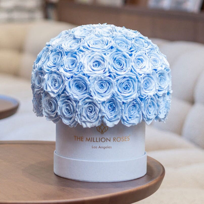 Boîte Superdome Classic Daim Bleu Clair | Roses Bleu Clair